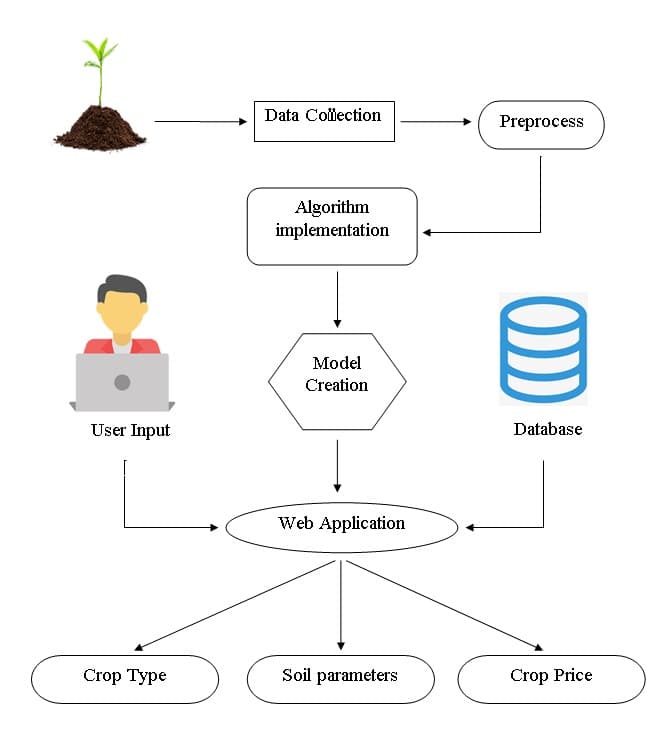 AI Recommendation and Prediction Systems